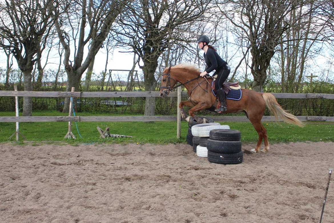 DSP Sunspot billede 31