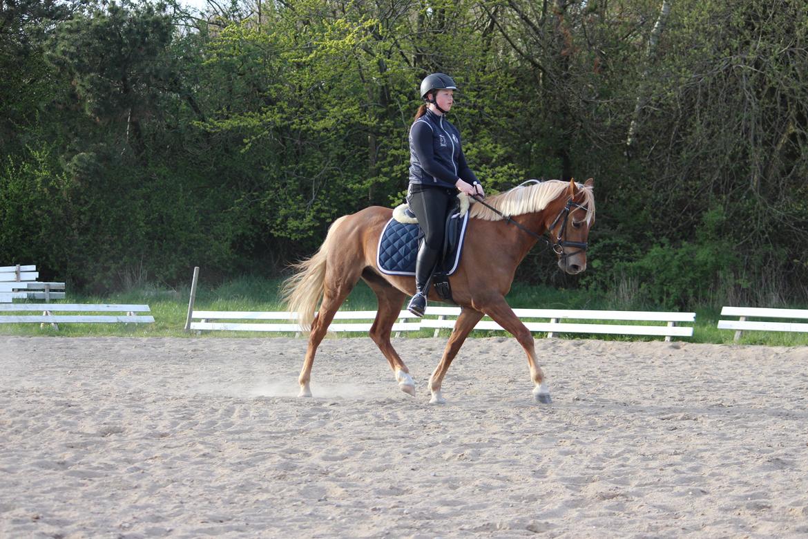 DSP Sunspot billede 39