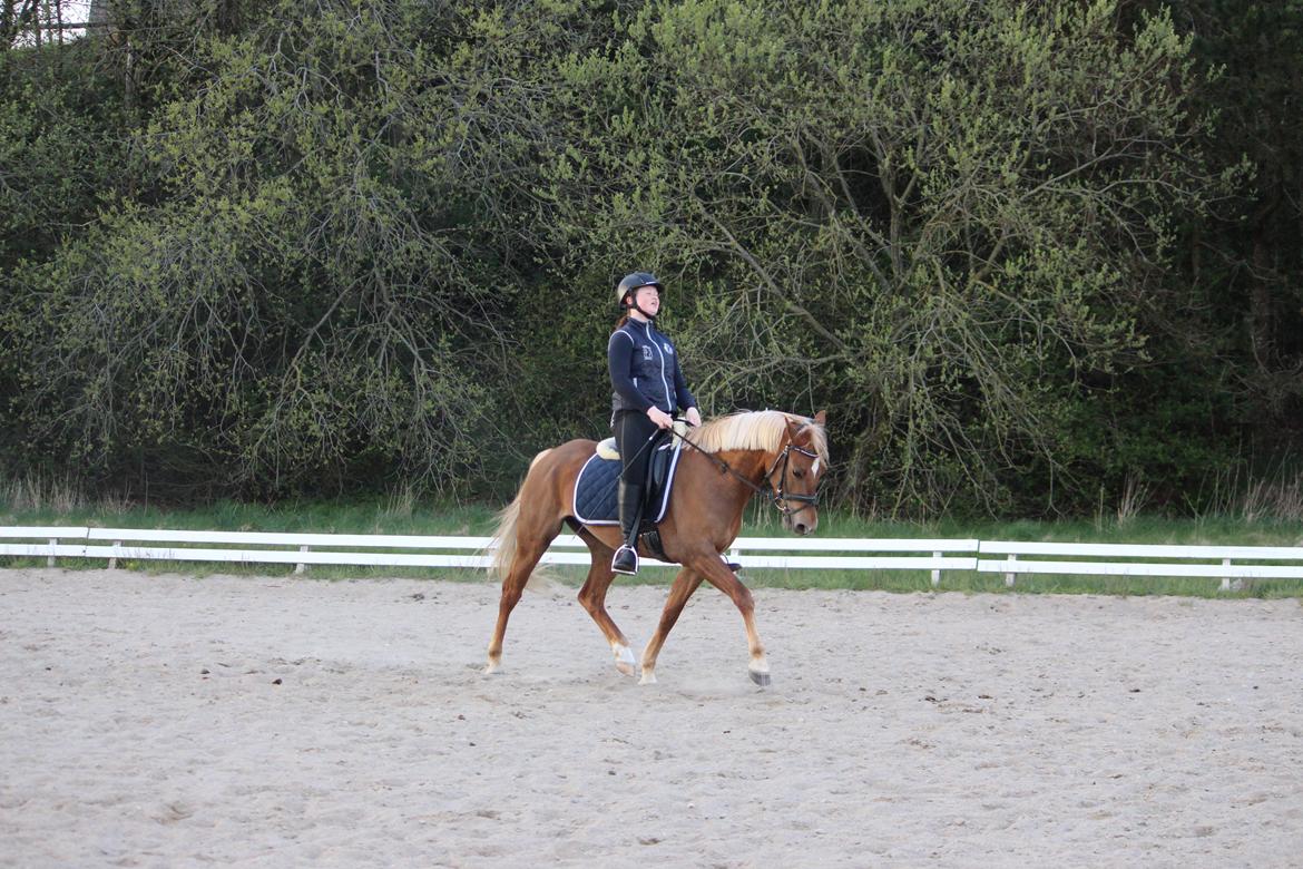 DSP Sunspot billede 40