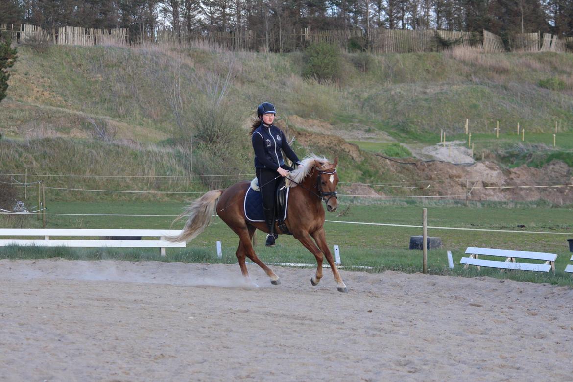 DSP Sunspot billede 41