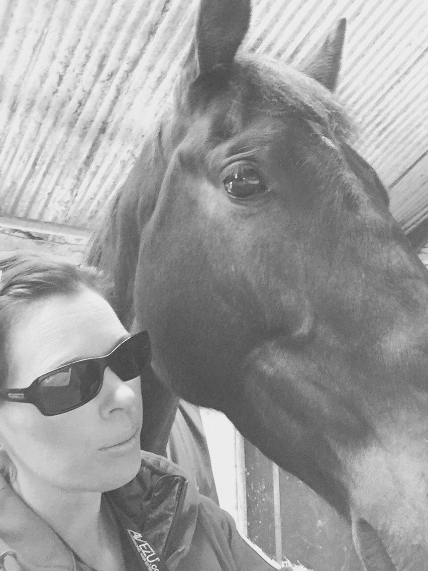 Holstener Chester billede 6