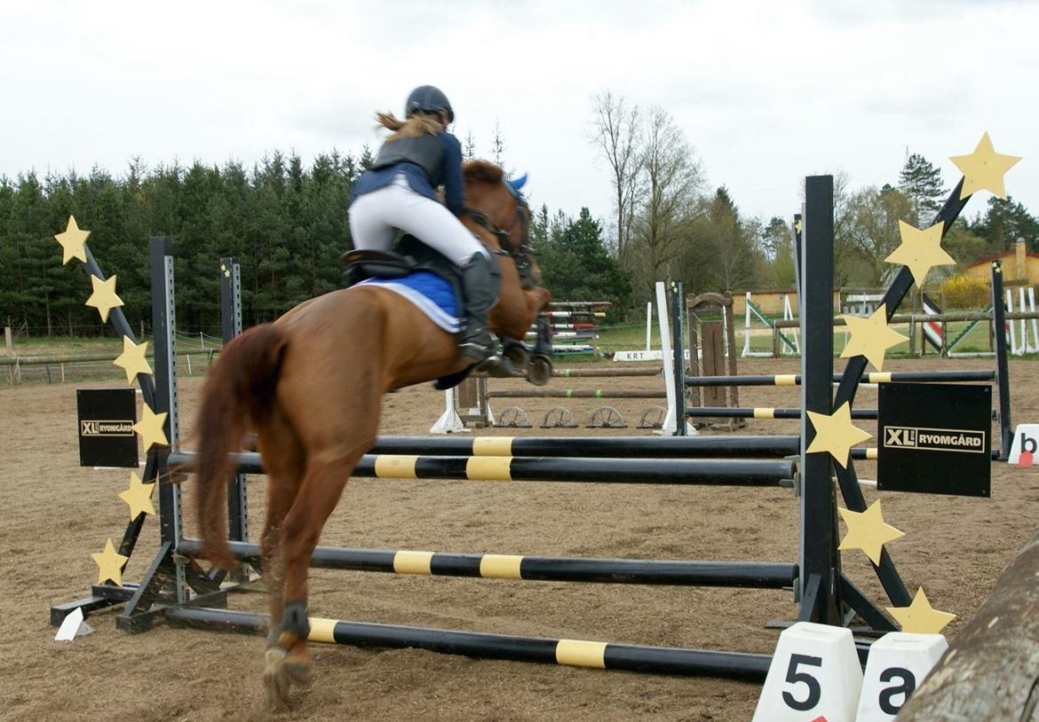 Anden særlig race EHC's Lamirz - prøver lige igen! billede 17