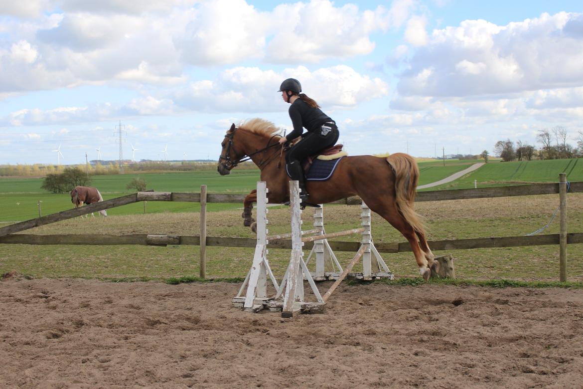 DSP Sunspot billede 33