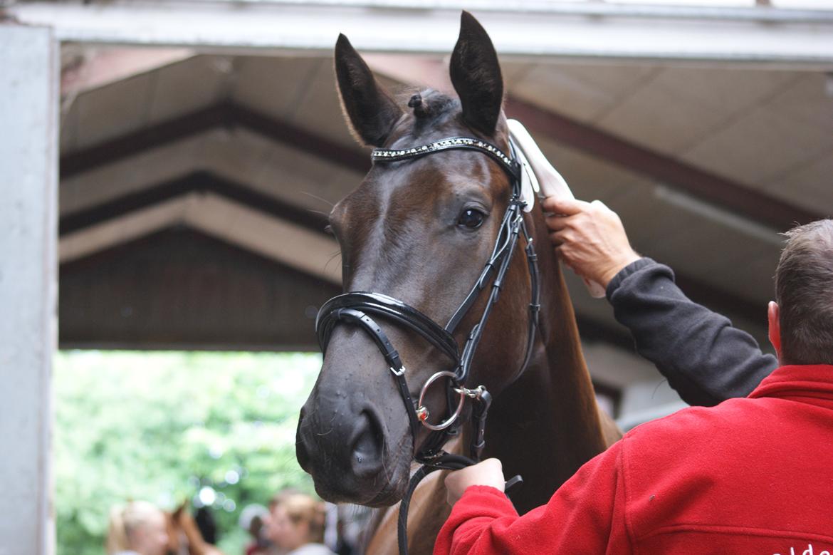 Oldenborg Nella Kjellerup billede 12