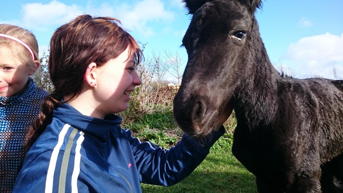 Barockpinto hmsogwestern's Black Magic billede 10