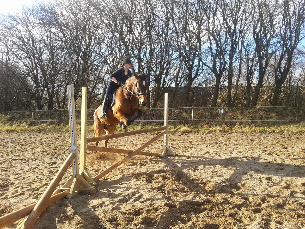 Traver Ærtig K billede 2