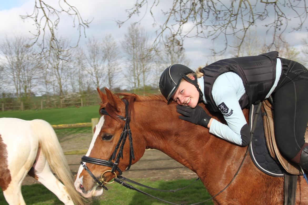 DSP Stenbakkegårds hoopers creek billede 10