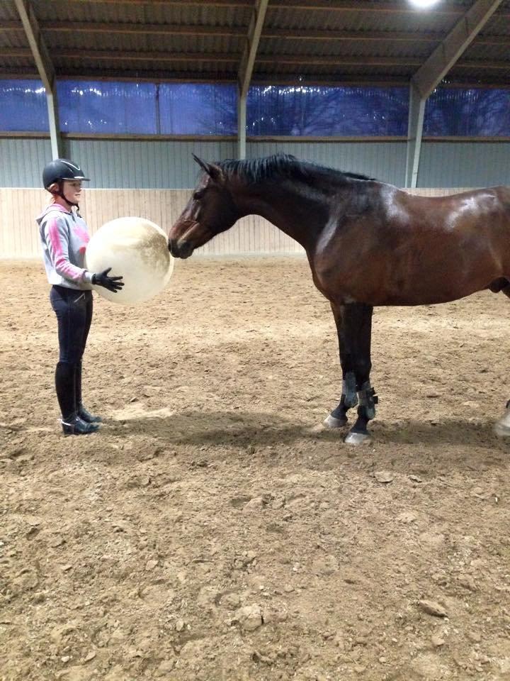 Oldenborg Overmoselund's Conti ~ Bettemanden ~ [Lånehest] billede 4