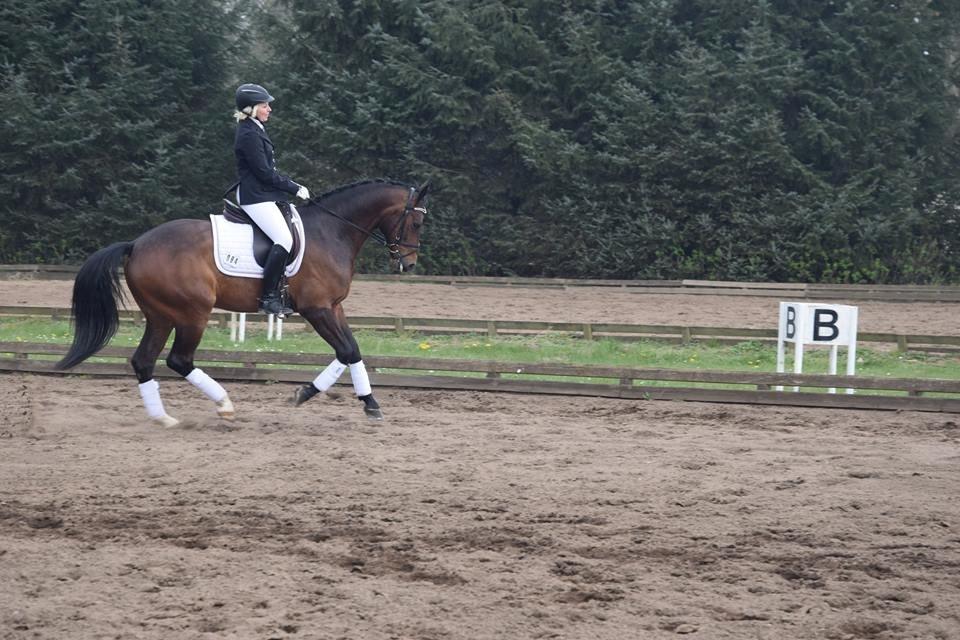 Oldenborg Overmoselund's Conti ~ Bettemanden ~ [Lånehest] billede 5