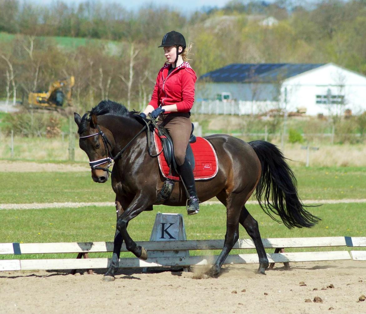 Anden særlig race Naomi billede 10