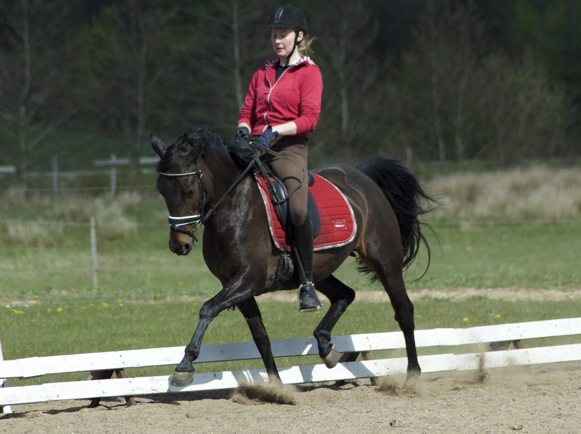 Anden særlig race Naomi billede 2