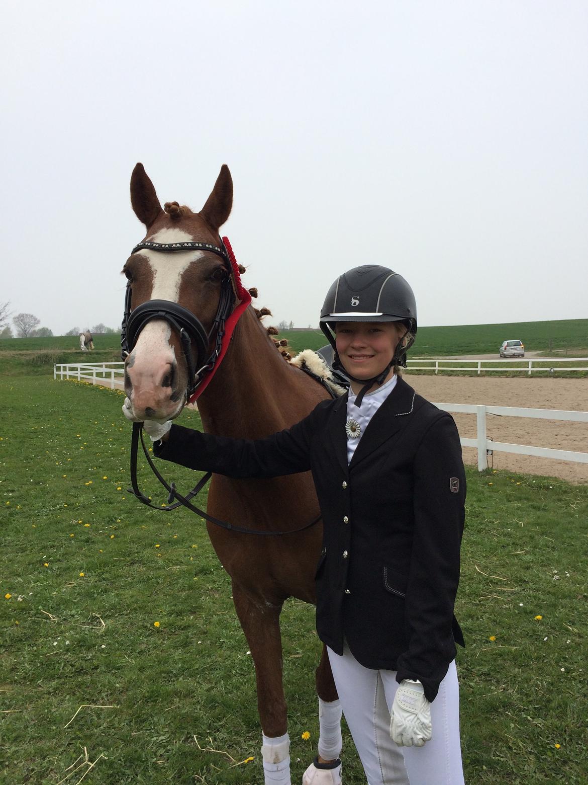 DSP Hoppesgård Stella - Vinder af LC3 til 68,4 % billede 10