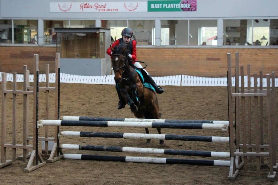 Anden særlig race Enghavegaards Lille Jensen billede 8