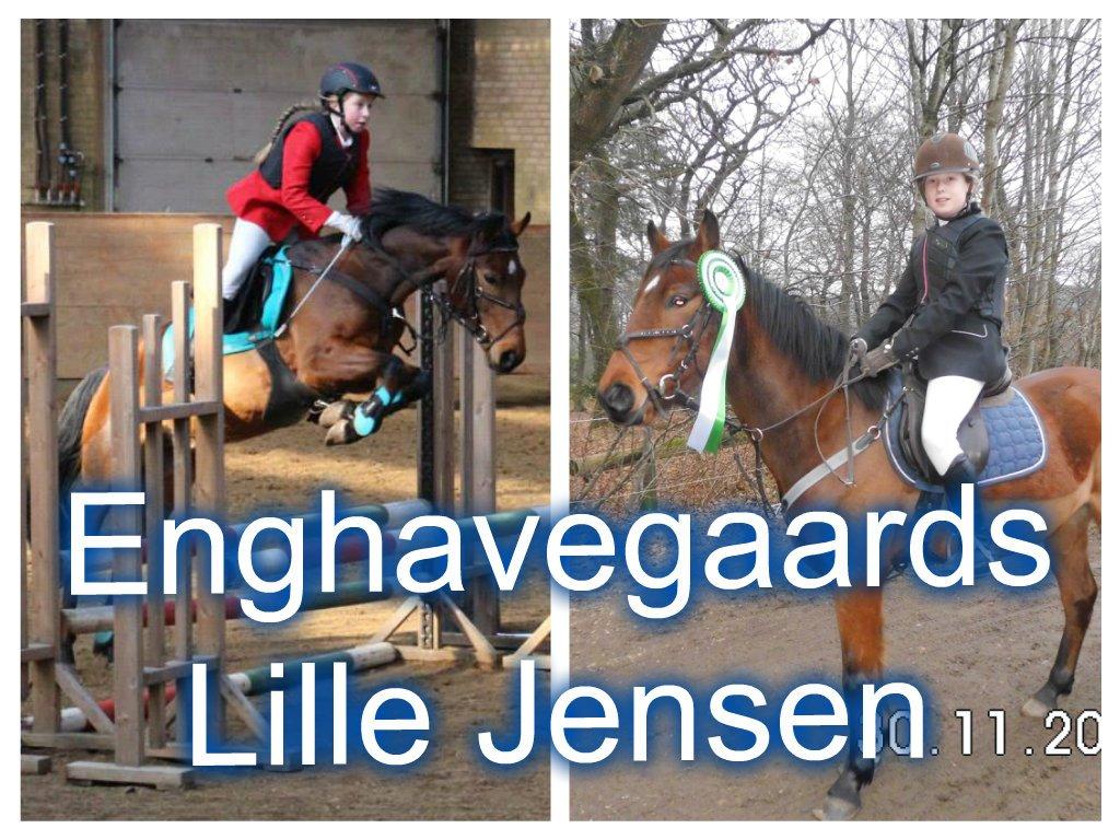 Anden særlig race Enghavegaards Lille Jensen - velkommen til Jensen profil billede 1