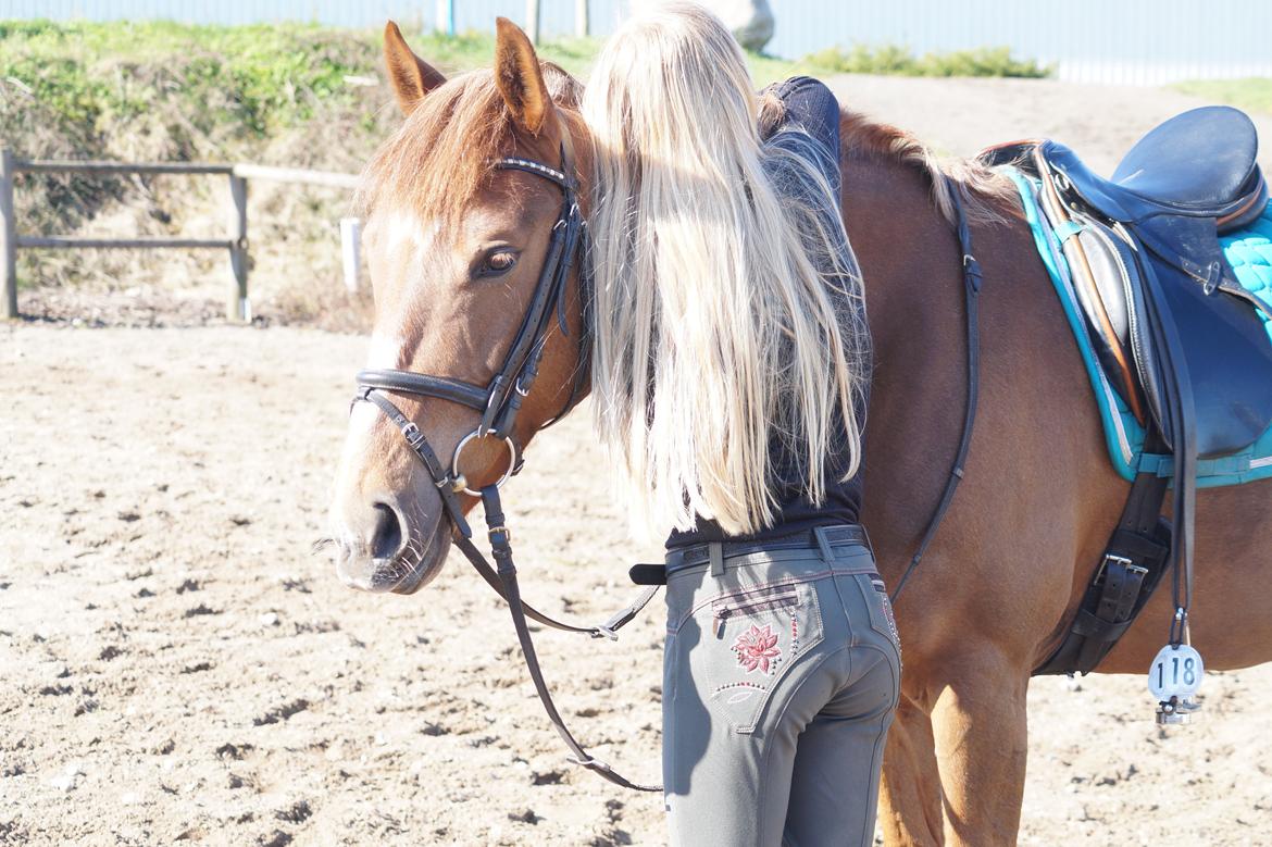 Anden særlig race Santana billede 9