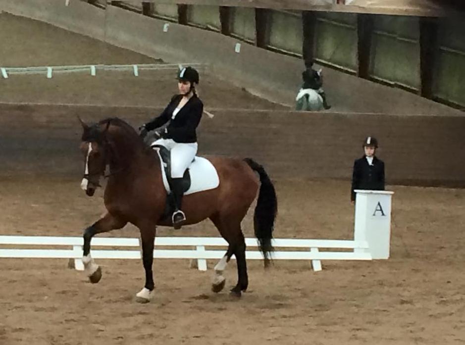 Anden særlig race Veronika billede 5