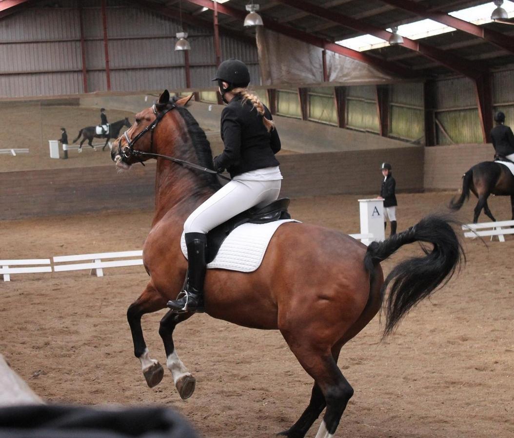 Anden særlig race Veronika billede 3