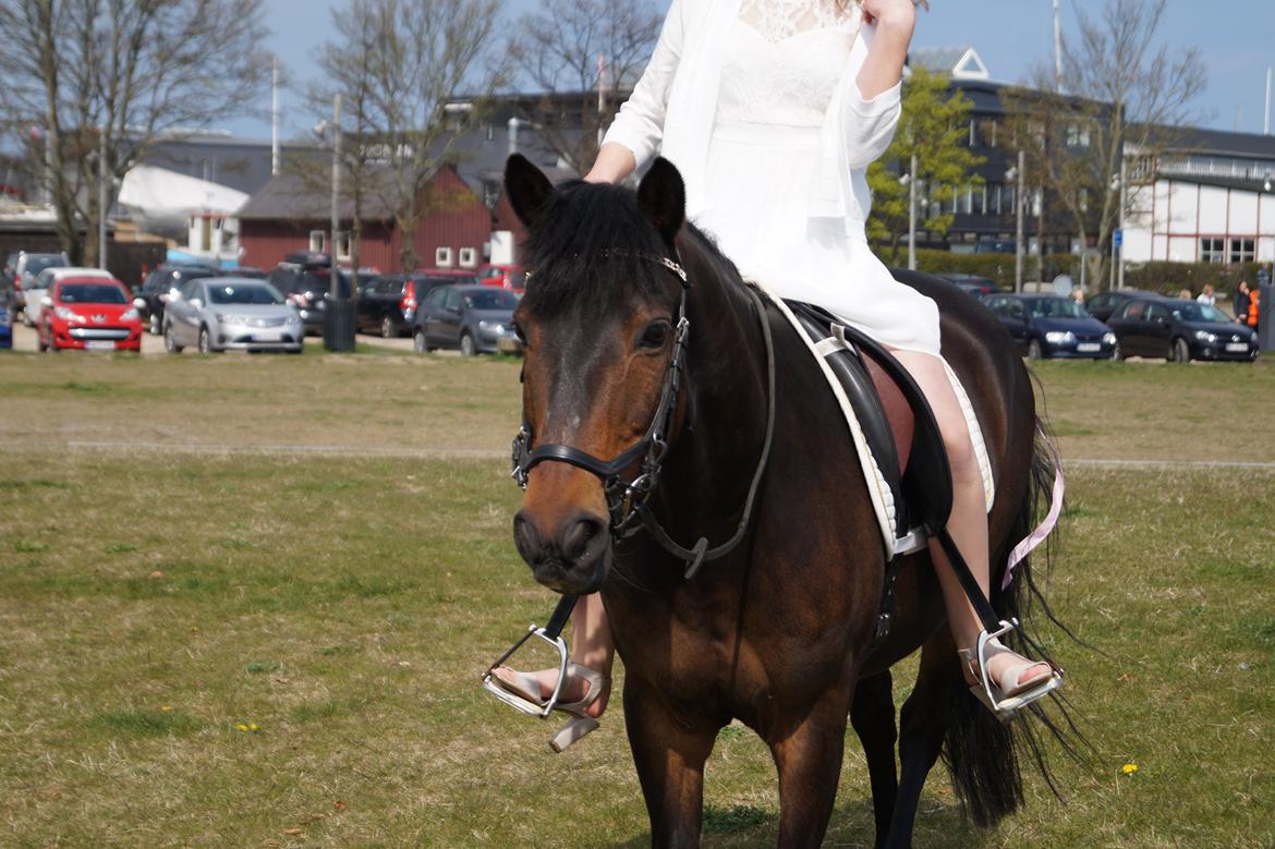 New Forest Elmholts Granat <3 - Konfirmation 1. Maj 2015. Verdens bedste dag billede 5