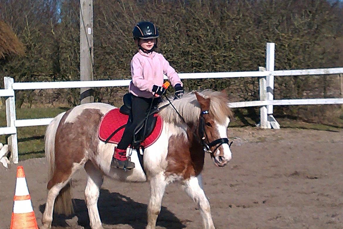 Anden særlig race Mr Mulle *Min soulmate* billede 9