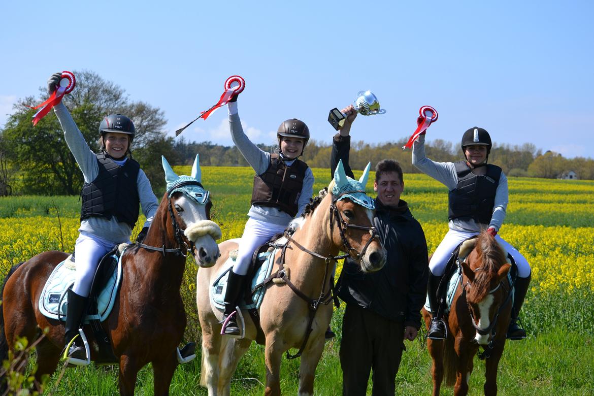 Hollandsk Sportspony Capello Ivo<3 (Min Pony) - DISTRIKTMESTRE <3 Klar til DM i stafetspring <3 billede 9