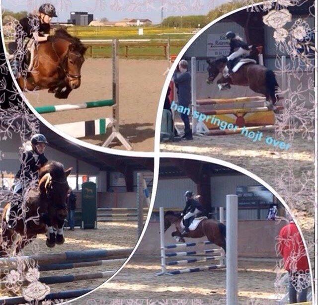 New Forest My little pony topper  billede 7