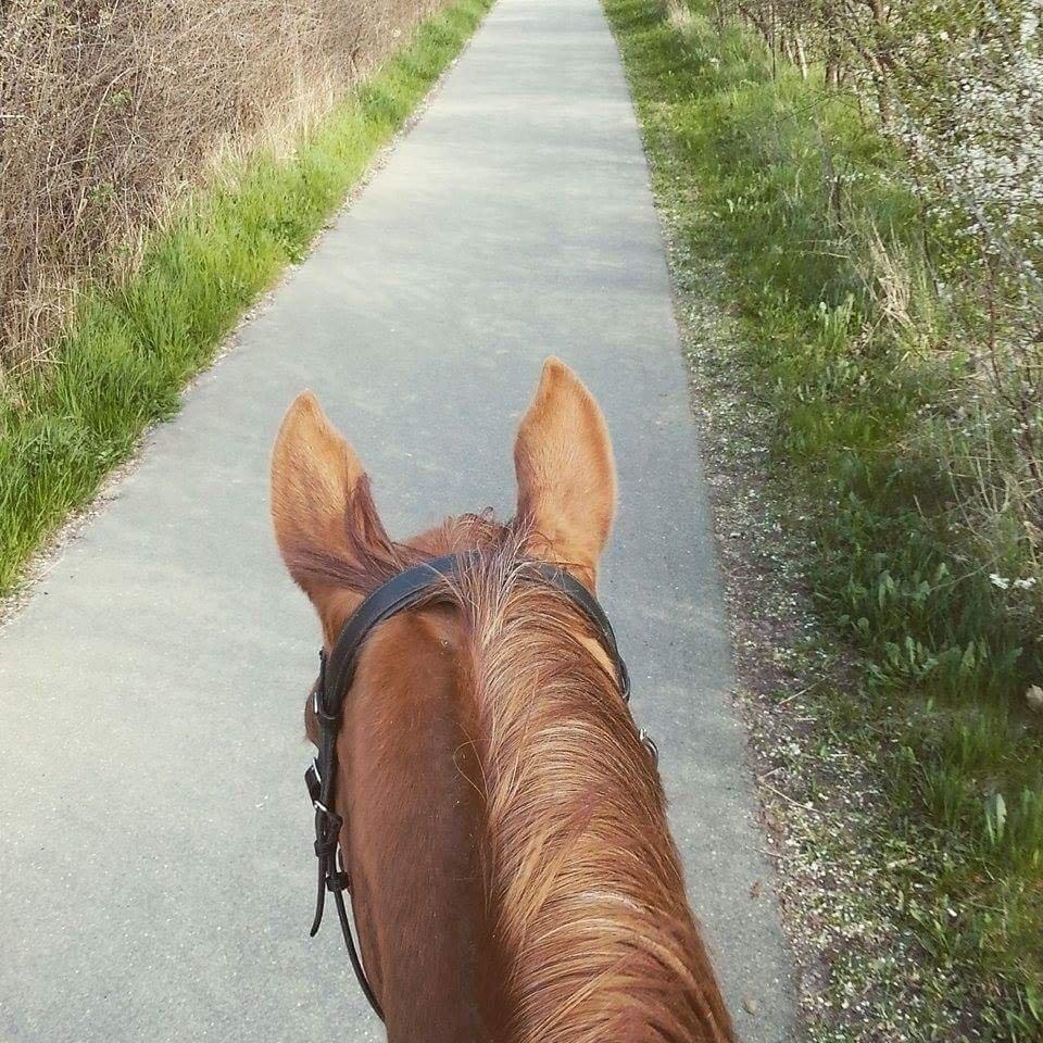 Anden særlig race Magnifique Etóo   - Min første skridt tur helt alene !!! :D <3 Tak fordi i kiggede med :D billede 33