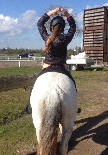 Anden særlig race Ryttergaardens Lille My billede 10