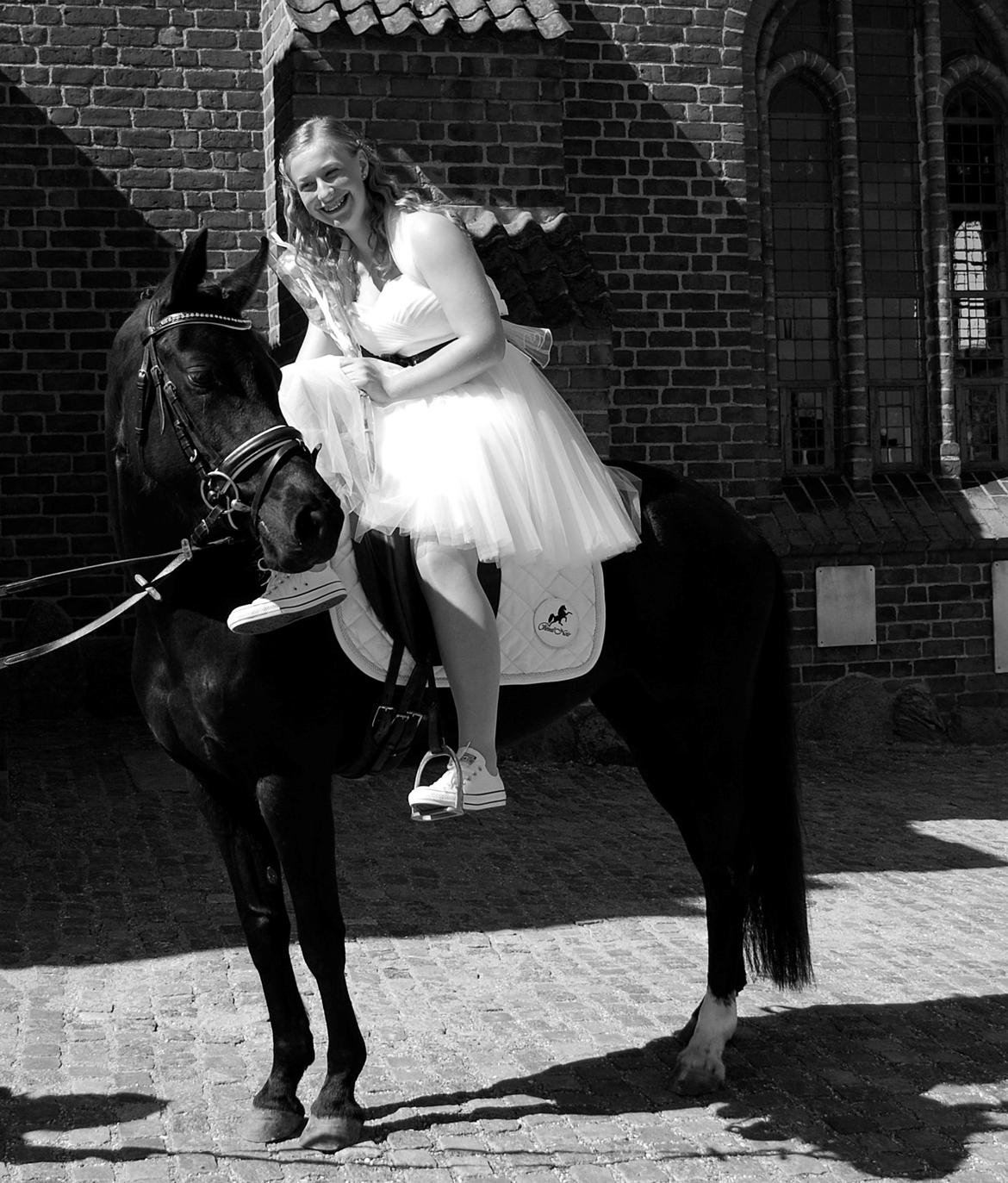 Welsh Partbred (Sec F) Laibek's Olympic - Olympic kom op til kirken til min konfirmation d. 19-04-15 Foto : Clara Ryom billede 1