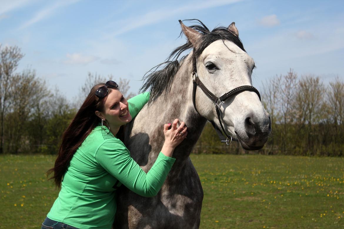 Dansk Varmblod Lambrié Vejen (Avlshoppe) - NYT: Uhh, det er godt at blive kløet :D billede 42