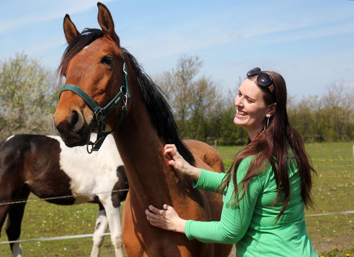 Dansk Varmblod Angel of music (SOLGT) *For evigt elsket <3* - NYT: Uhh, det kløer :D billede 24