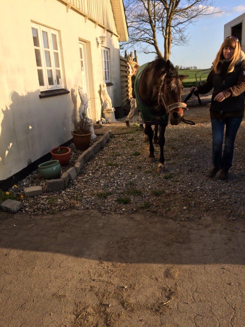 Traver Leroy Hall billede 28