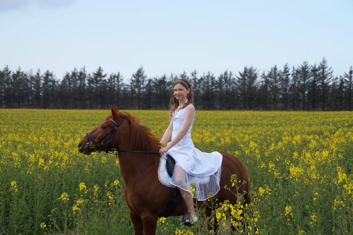 Anden særlig race Redstar - Redstar og mig som fotomodeller på min konfi:-D billede 16