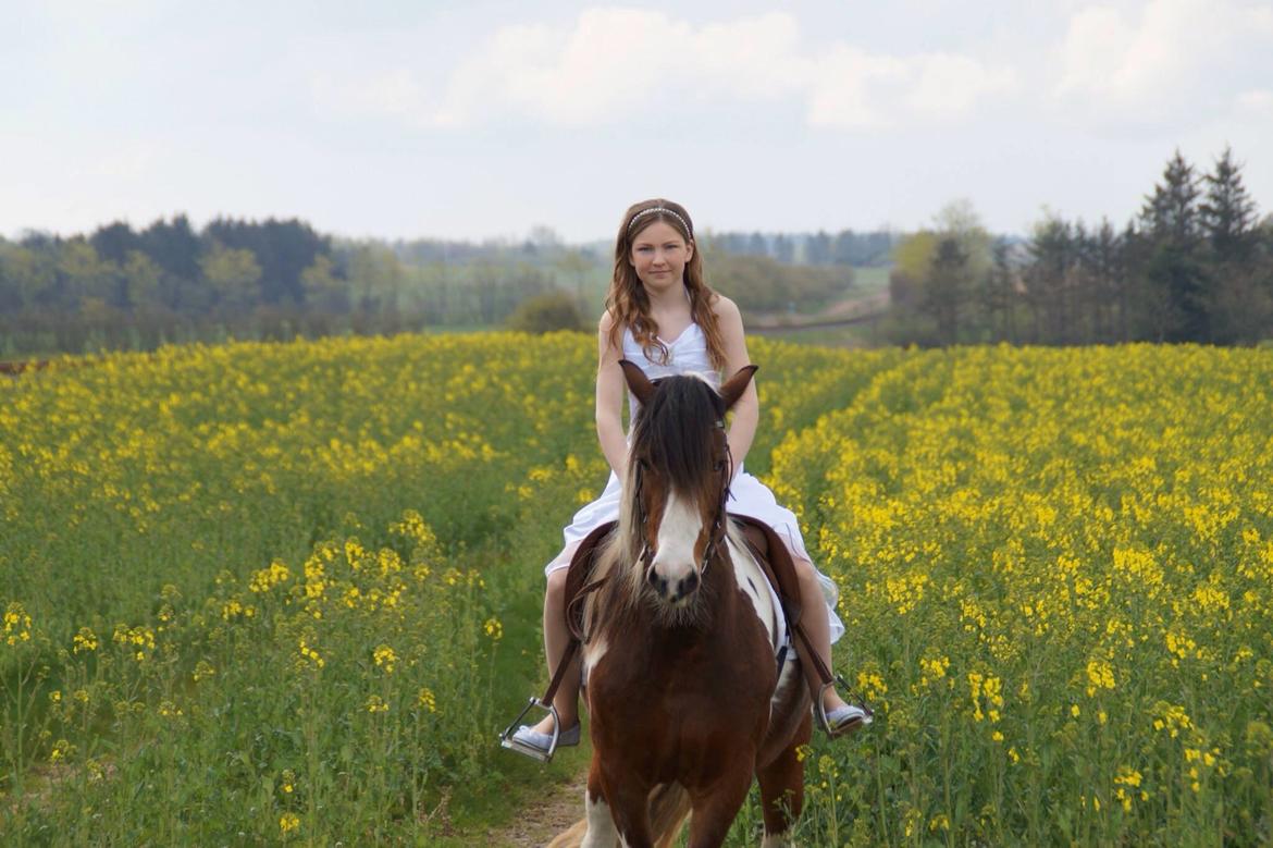 Irish Cob Crossbreed South Lady View<3 - Lady og mig til min konfirmation<3 billede 25