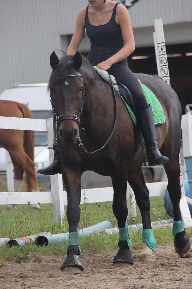 Anden særlig race Krumme *part* billede 14