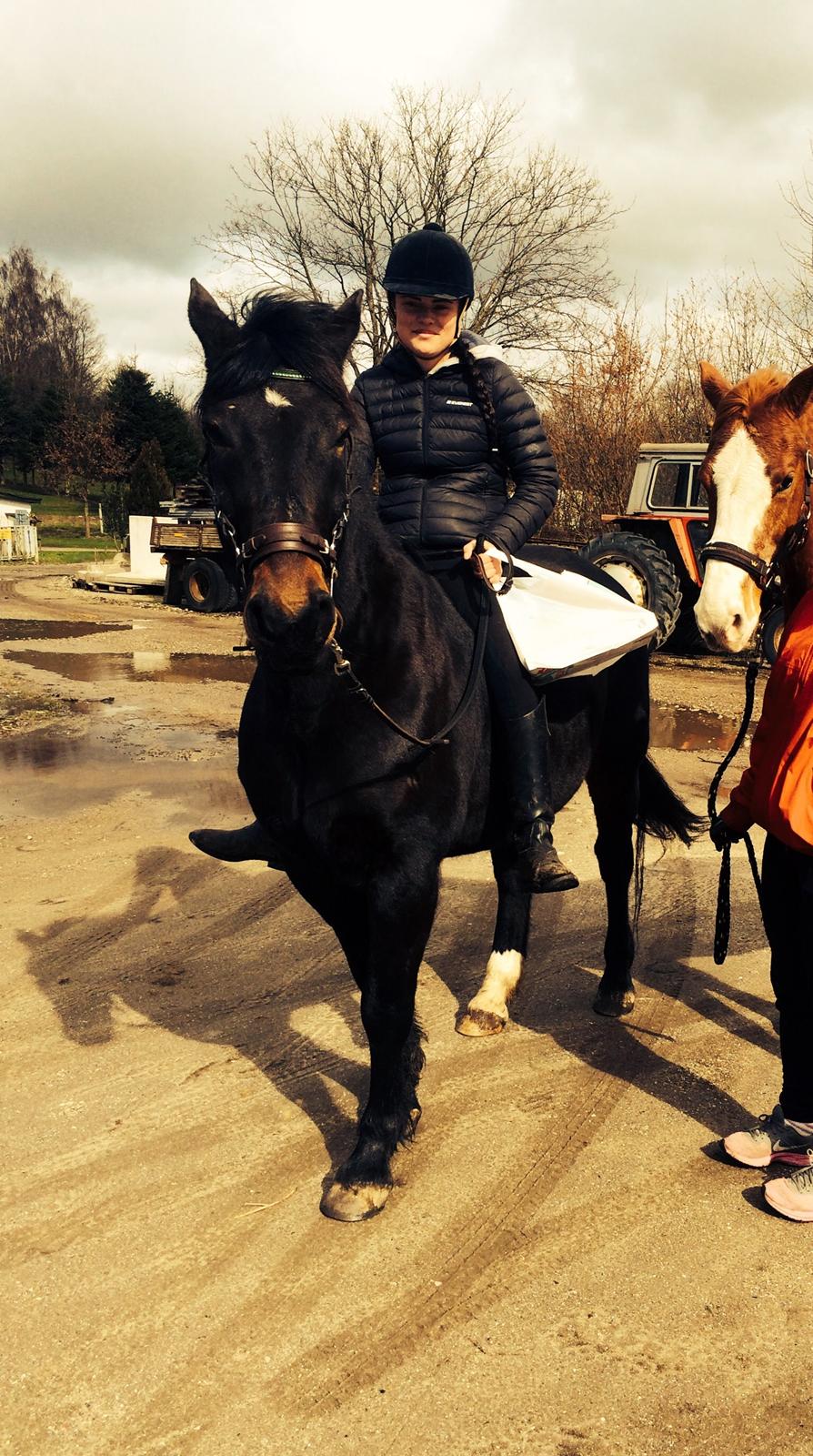 Anden særlig race Krumme *part* billede 19