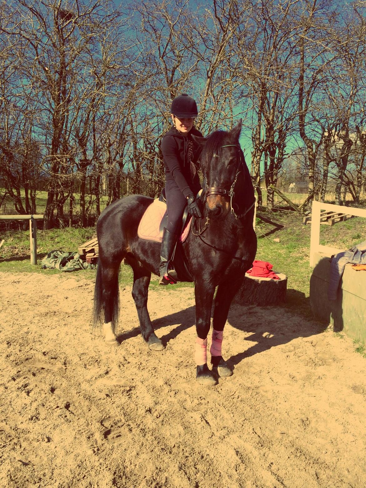 Anden særlig race Krumme *part* billede 20