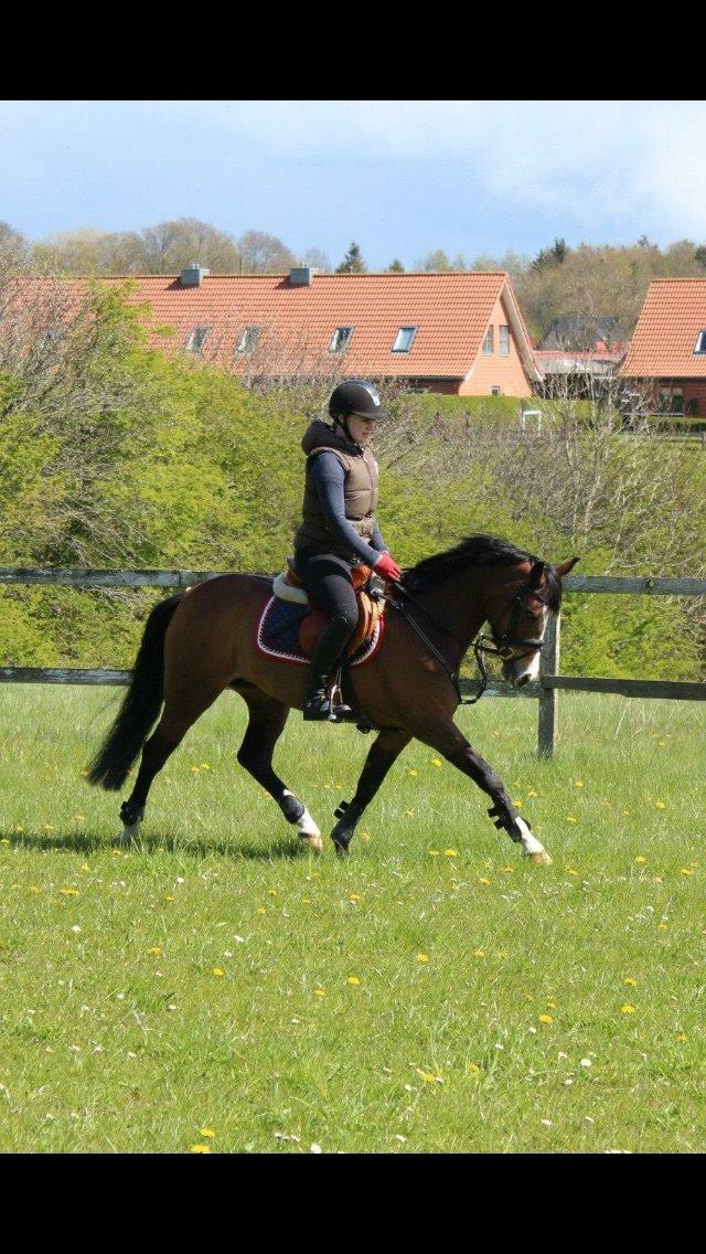 DSP Lundgaards Friday billede 23