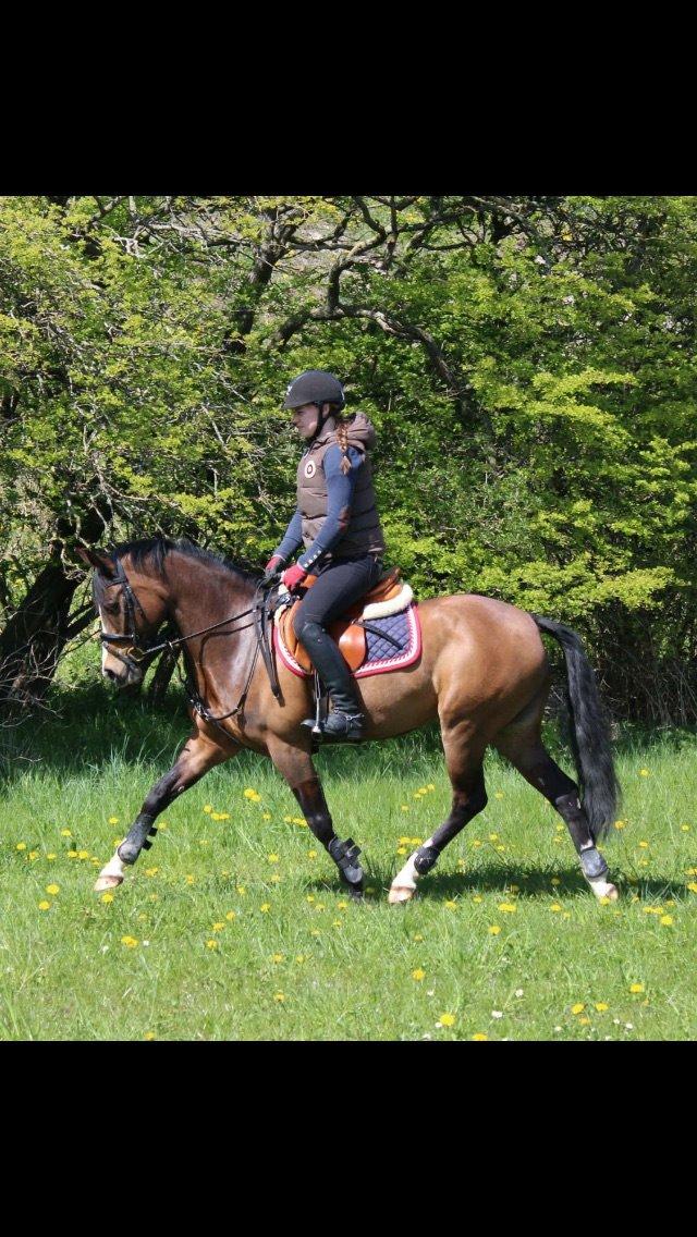 DSP Lundgaards Friday billede 22