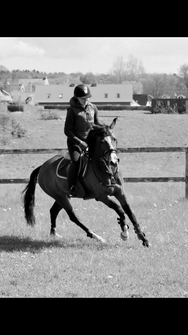 DSP Lundgaards Friday billede 25