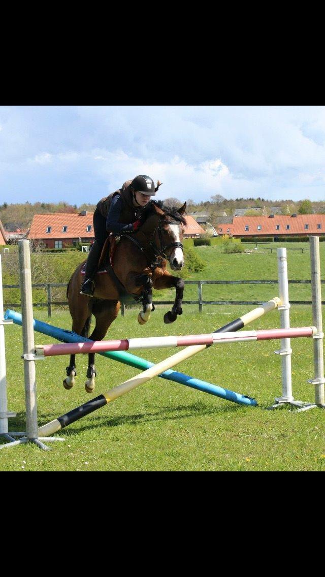 DSP Lundgaards Friday billede 26