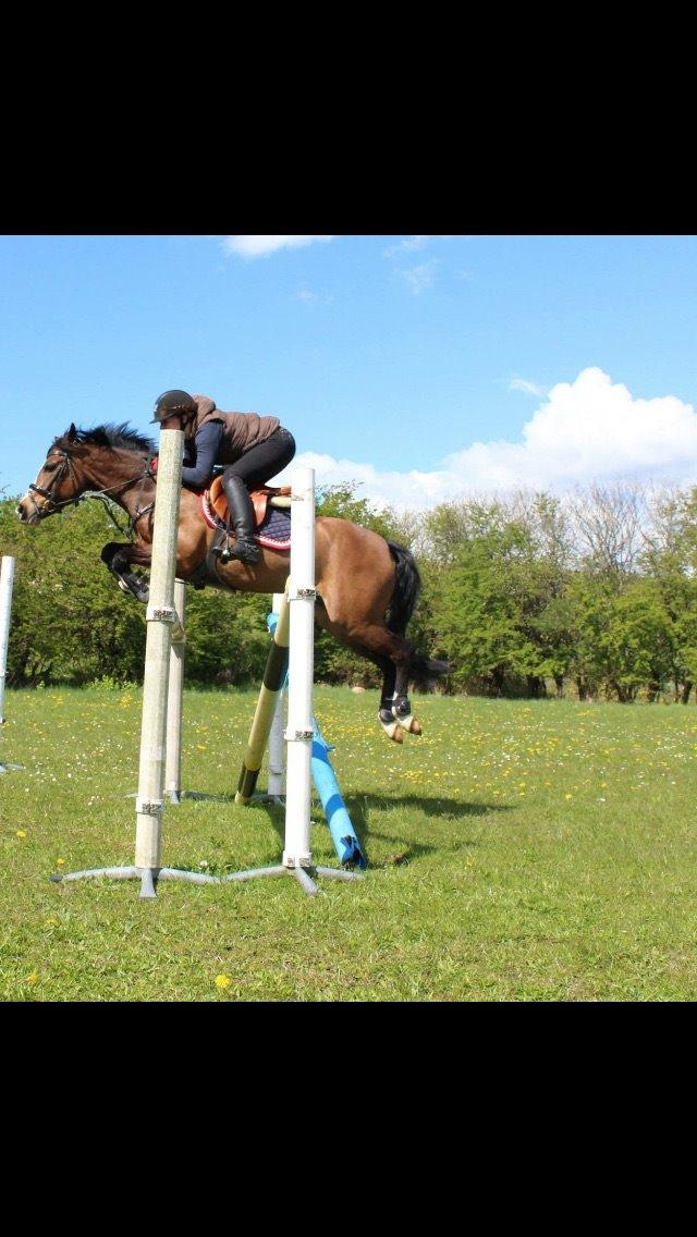 DSP Lundgaards Friday billede 27