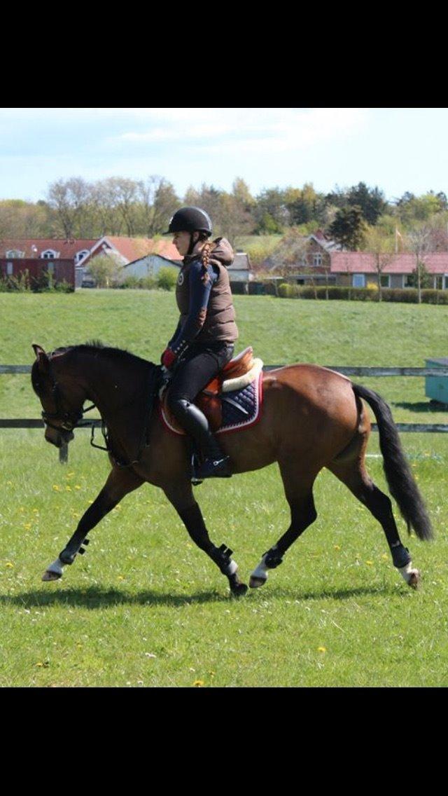 DSP Lundgaards Friday billede 24