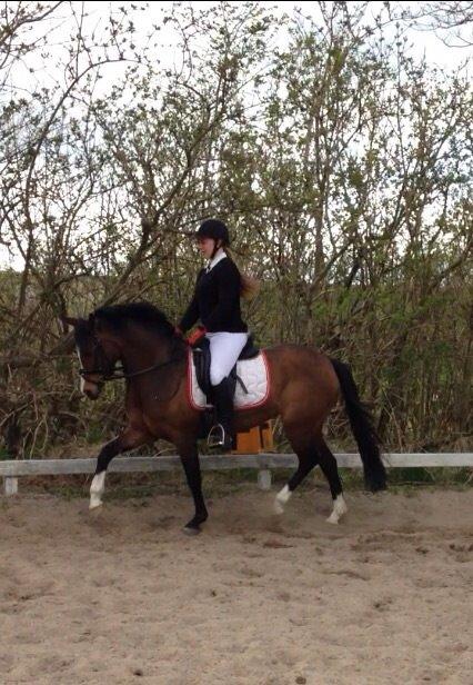 DSP Lundgaards Friday billede 31