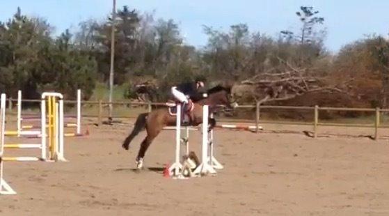 DSP Lundgaards Friday billede 29