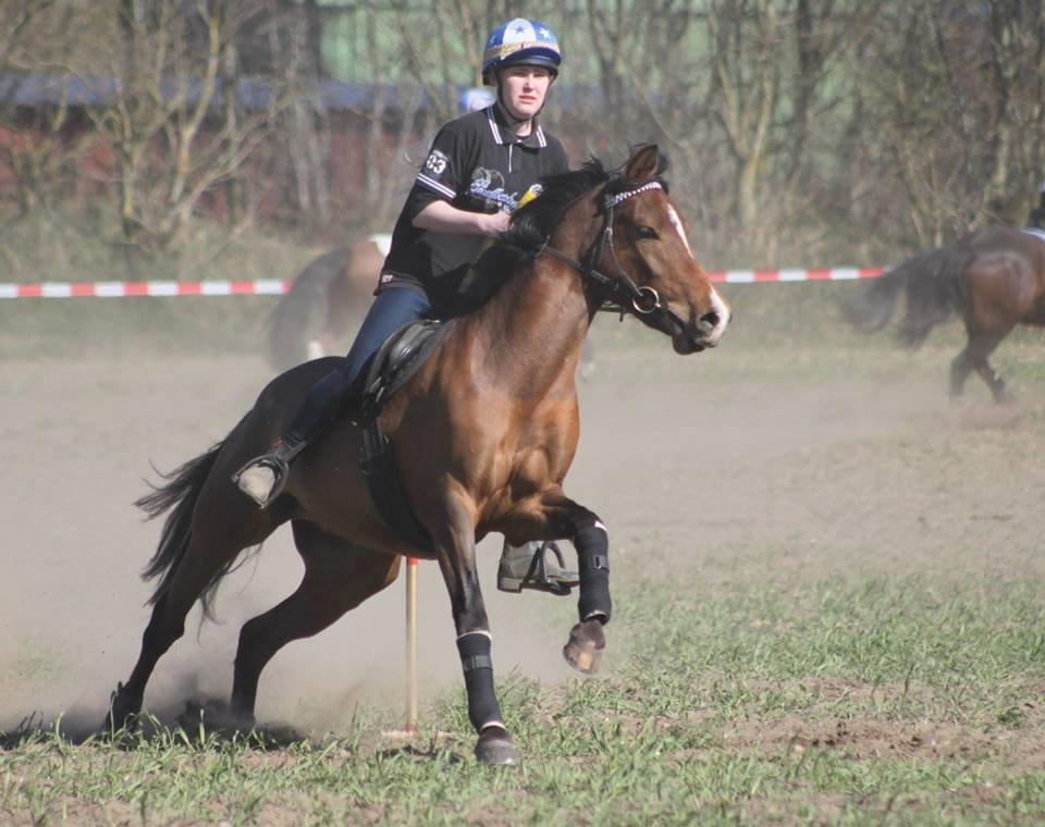 Anden særlig race Shah Little Miss May billede 3