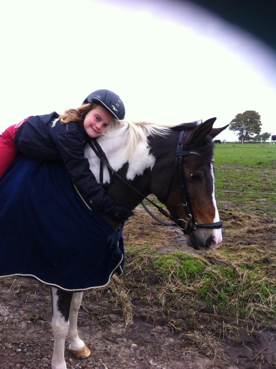 Anden særlig race Beauty billede 8