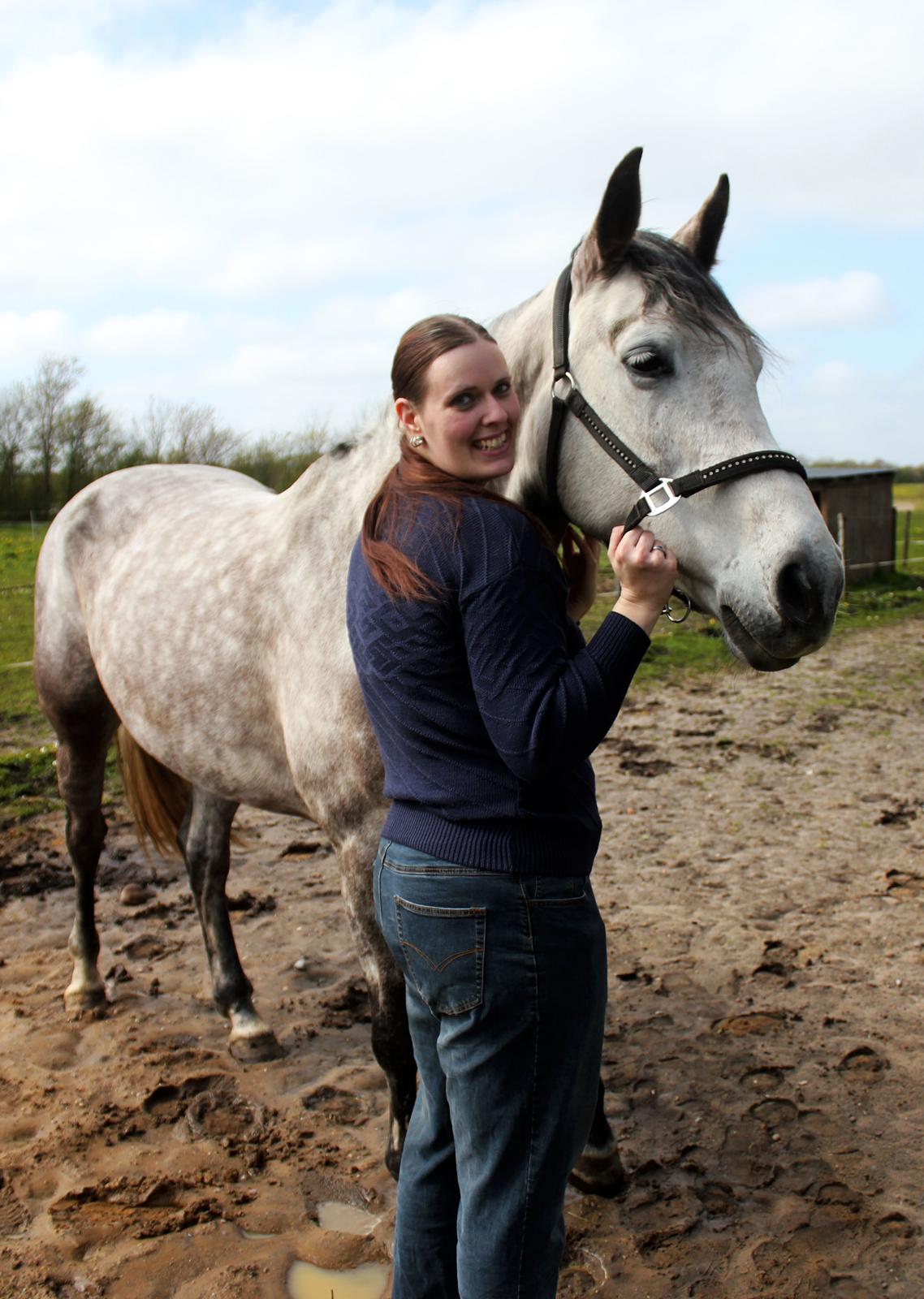 Dansk Varmblod Lambrié Vejen (Avlshoppe) - NYT: Hygger :) billede 43