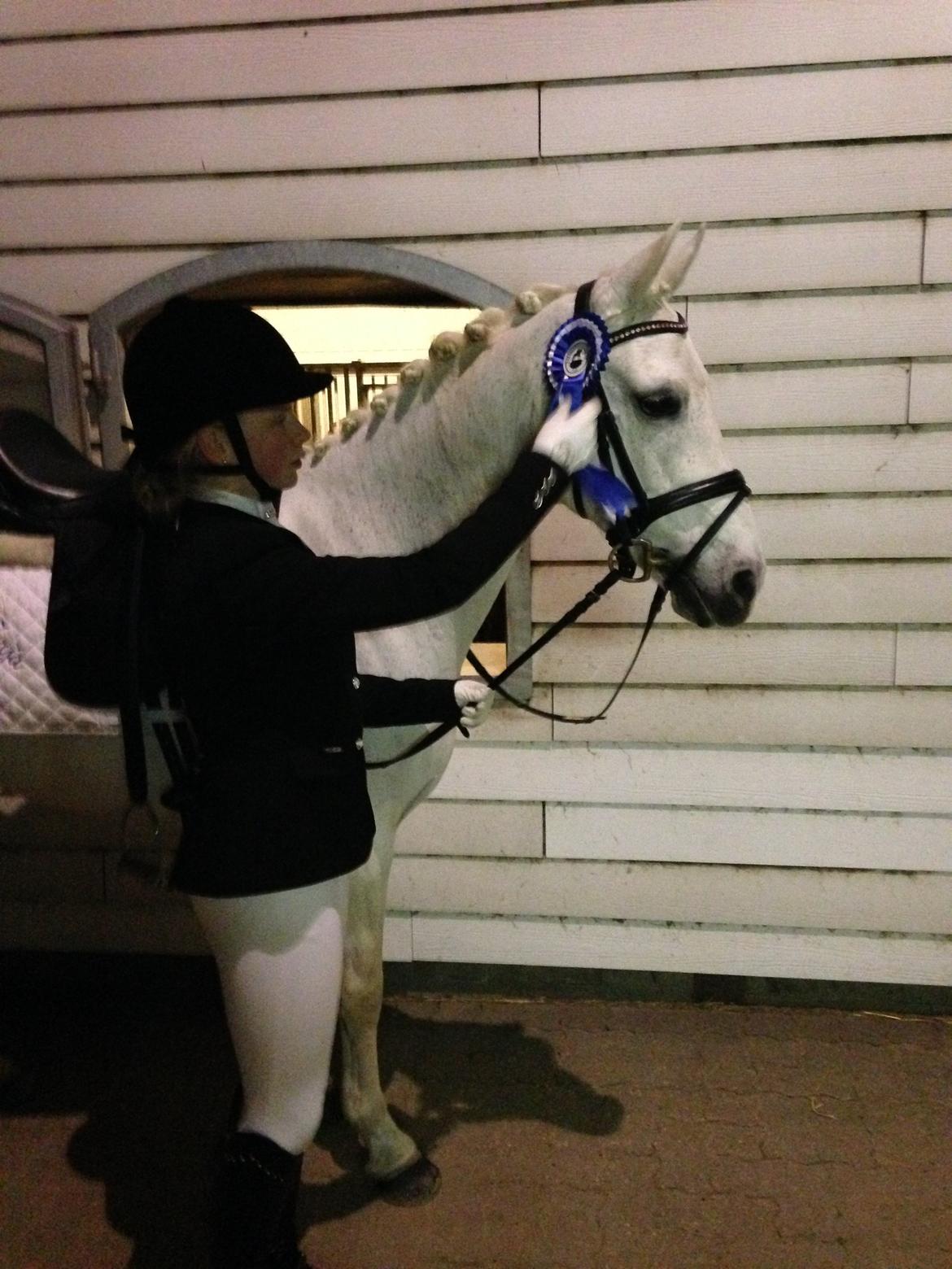 Anden særlig race Princess - Første dressur stævne (LA1) på C (okt 2014)- KAR - Holdklasse billede 10