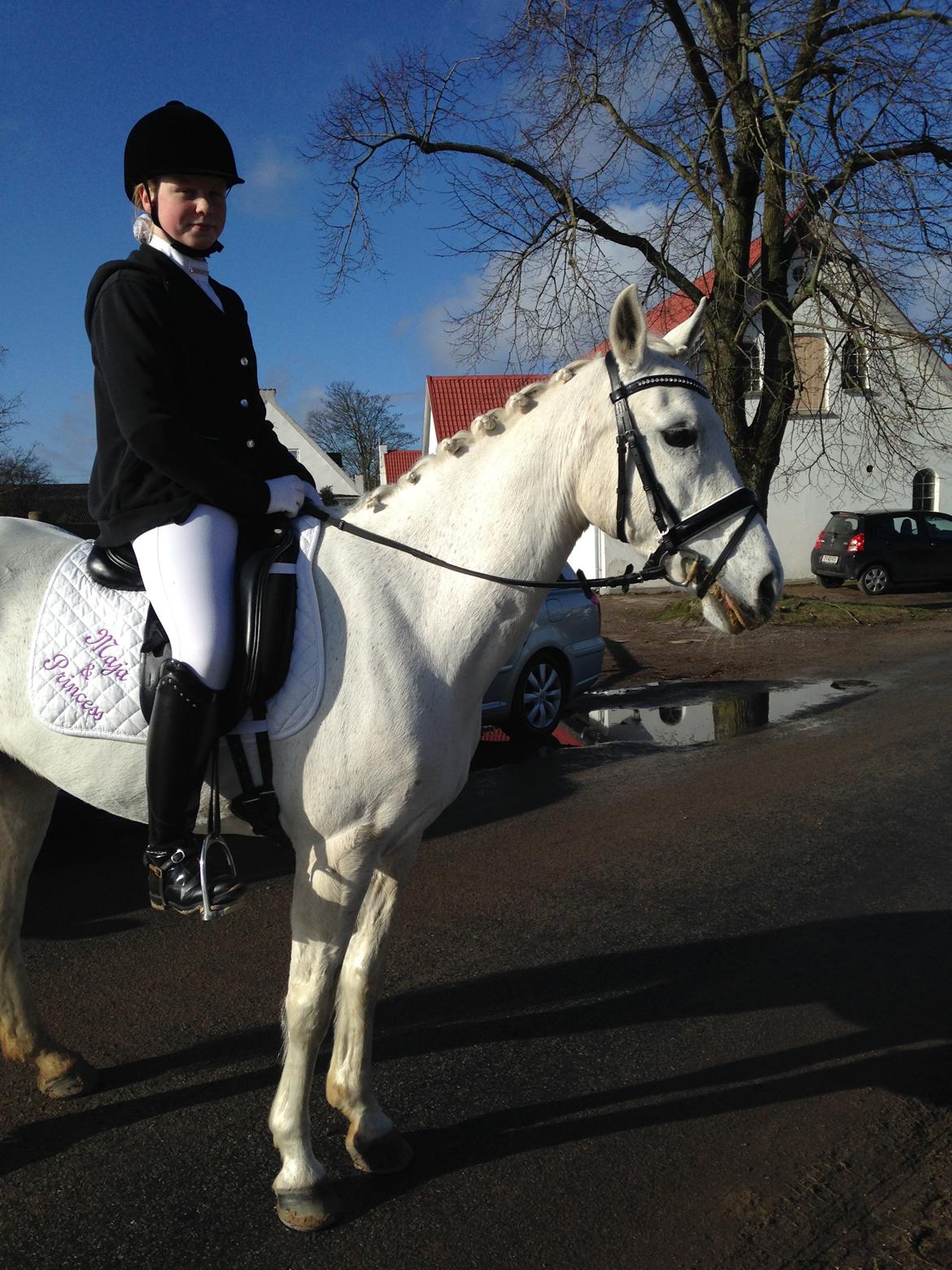 Anden særlig race Princess - Første "rigtige" C stævne. La1+2 begge til over 67% (marts 2015) billede 11