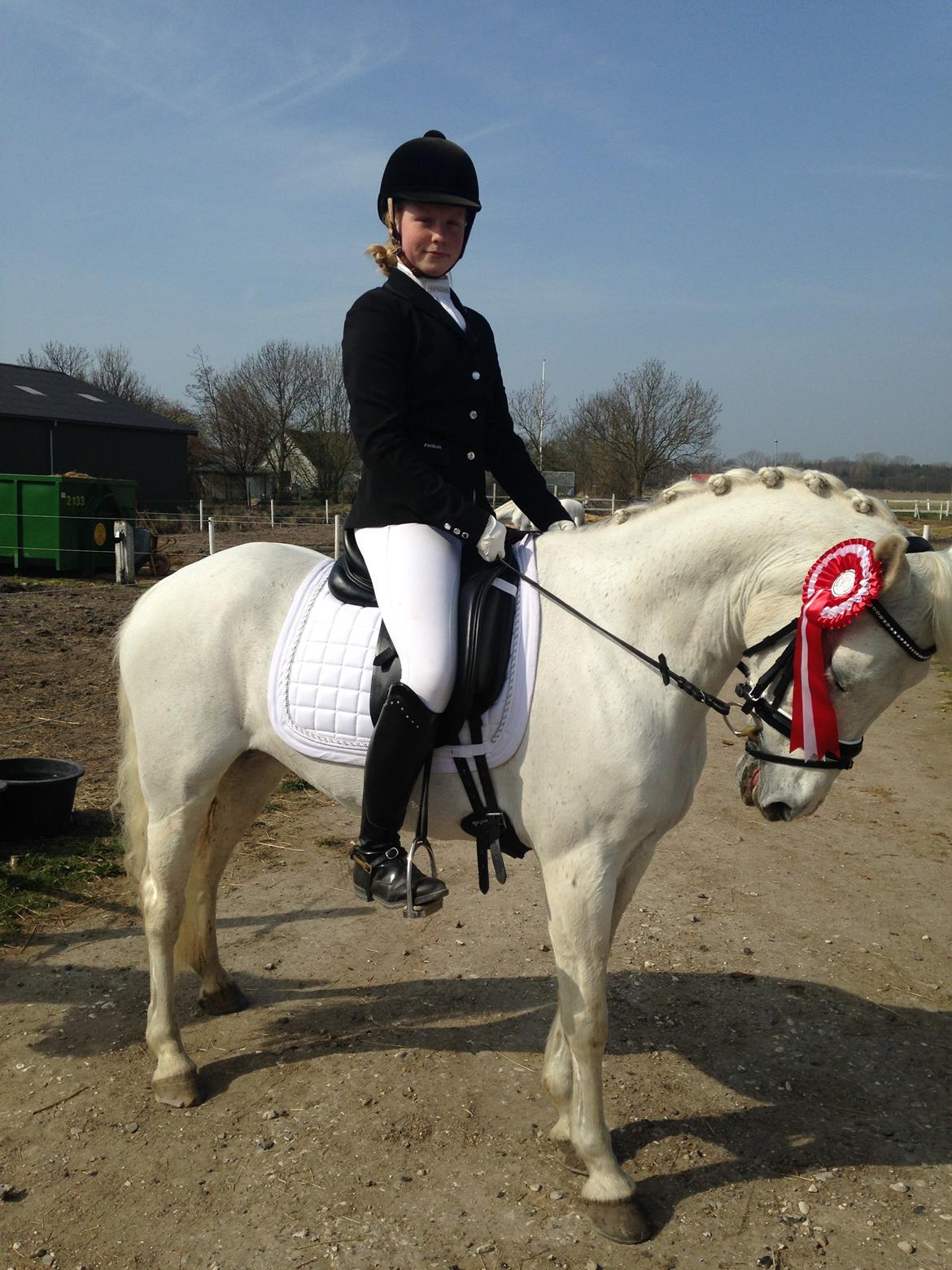 Anden særlig race Princess - Vinder af LA1 i KRK - Her tilbage på gården. billede 14